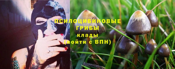 mdma Дмитров