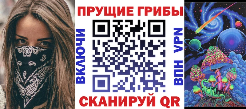 Псилоцибиновые грибы GOLDEN TEACHER  наркошоп  Покровск 